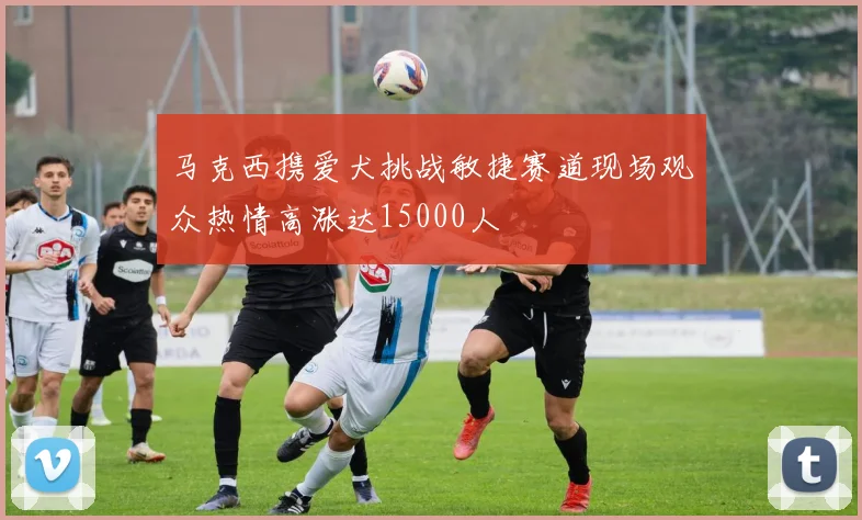 马克西携爱犬挑战敏捷赛道现场观众热情高涨达15000人