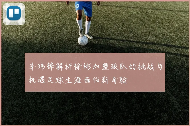 李玮锋解析徐彬加盟狼队的挑战与机遇足球生涯面临新考验