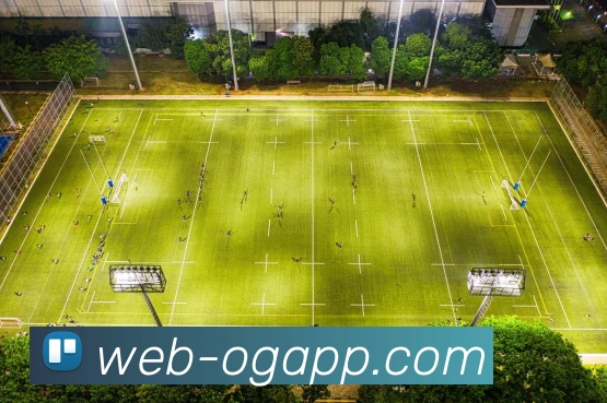 OG真人APP 体育赛事宣传图